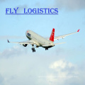 Air Cargo Shipping To Jeddah Saudi Arabia/Abu Dhabi United Arab Emirates By Air And Local Express Delivery Service